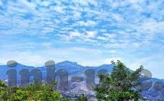八波足球及时比分-八波足球及时比分，绿茵场上的实时心跳，球迷的激情指南针